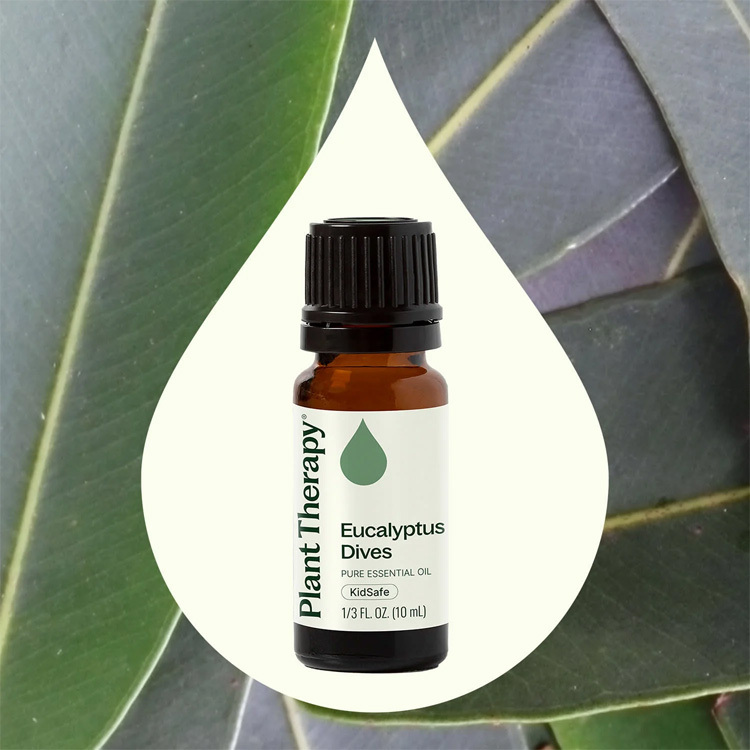 Plant Therapy 薄荷尤加利 Eucalyptus Dives 精油 (兒童安全) - 10ml
