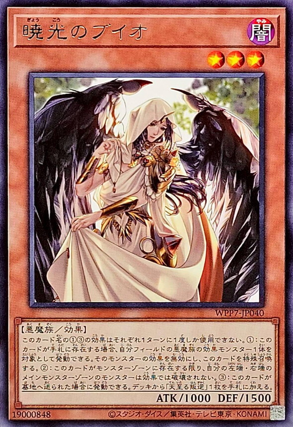 WPP7-JP040 暁光のブイオ
