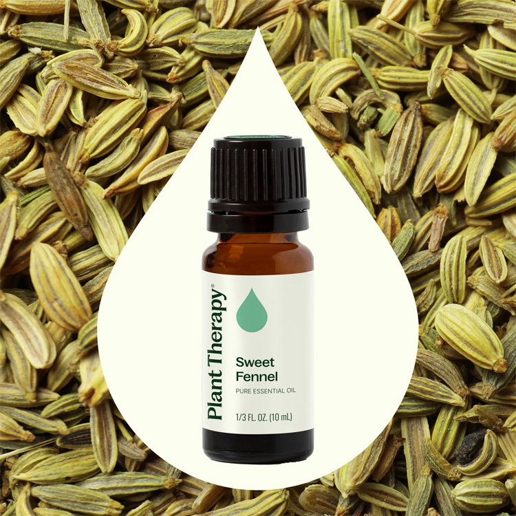 Plant Therapy 甜茴香Sweet Fennel 精油 -10ml
