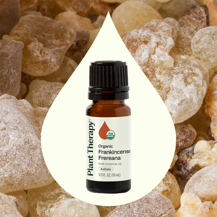 Plant Therapy 有機波葉乳香Frankincense Frereana精油（兒童安全） - 10ml