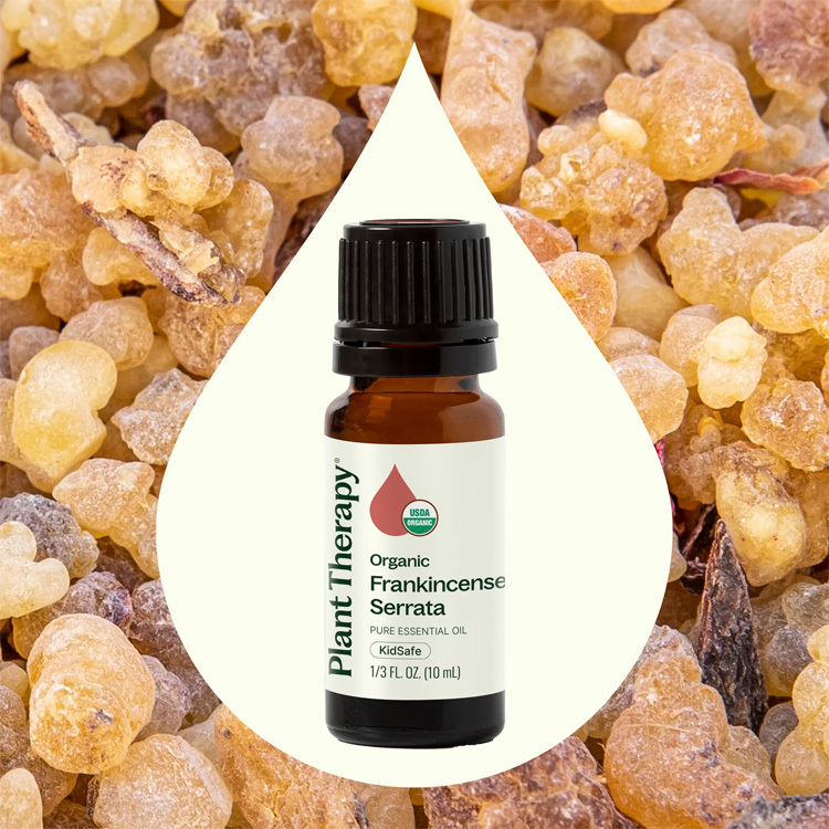 Plant Therapy  有機印度乳香 Frankincense Serrata 精油 - 10ml