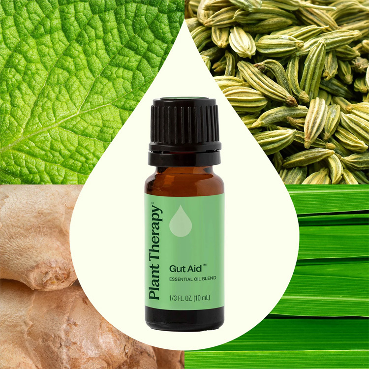 Plant Therapy 消化好 Gut Aid™ 複方精油 - 10ml