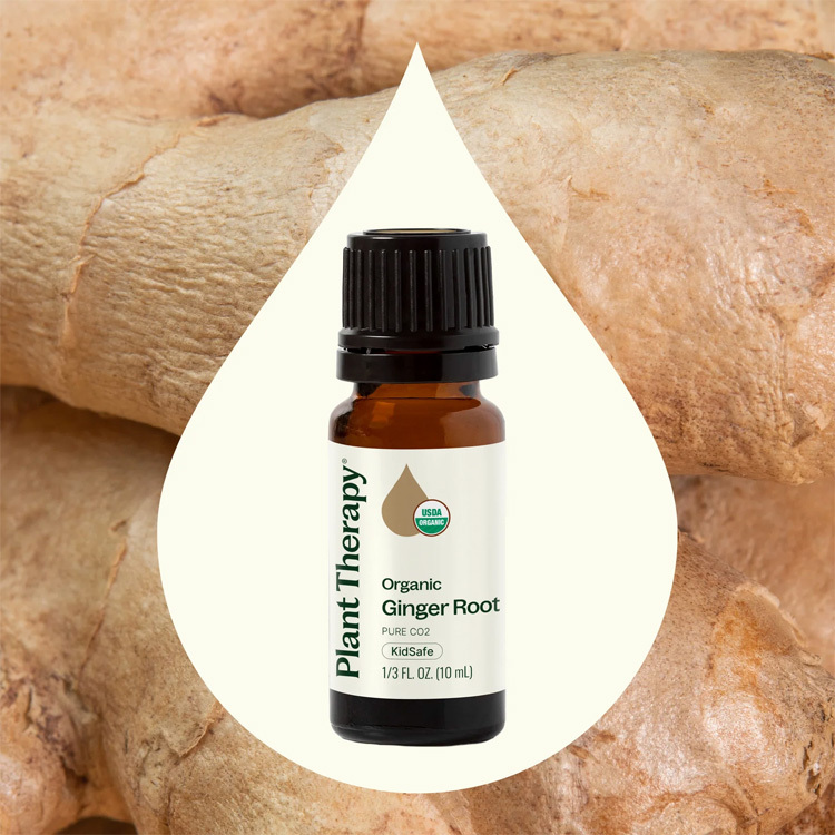 美國 Plant Therapy 有機生薑 Ginger Root CO2精油 -10ml