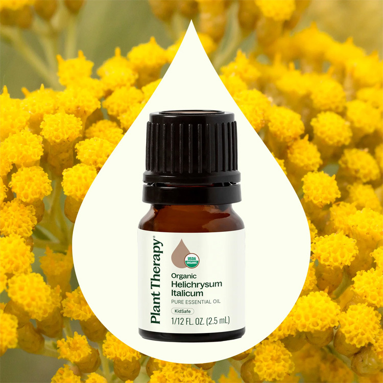 Plant Therapy 義大利蠟菊 Helichrysum Italicum 有機精油 (兒童安全)- 5ml