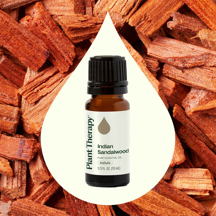 Plant Therapy 印度檀香 Sandalwood Indian 精油（兒童安全） - 2.5ml / 5ml