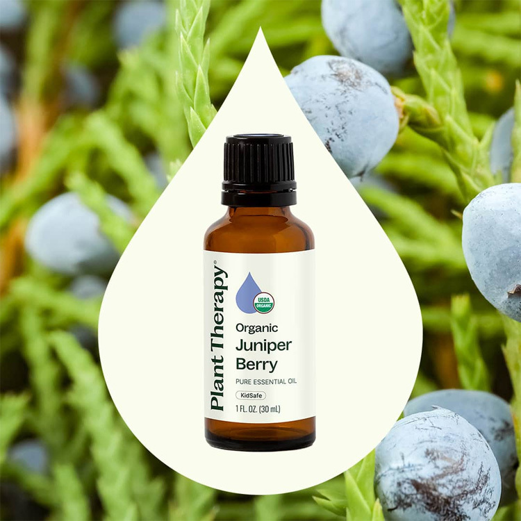 Plant Therapy 有機杜松漿果 Juniper Berry 精油(兒童安全) - 10ml