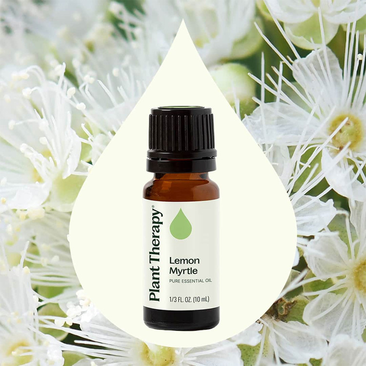 Plant Therapy 檸檬香桃木 Lemon Myrtle 精油 - 10ml