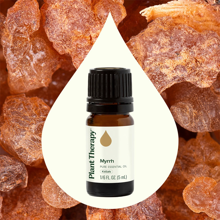 Plant Therapy 沒藥 Myrrh 精油 - 5ml