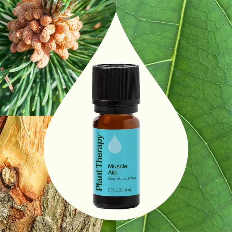 [關節/肌肉疼痛] 美國 Plant Therapy 肌肉舒 Muscle Aid 複方精油 -10ml