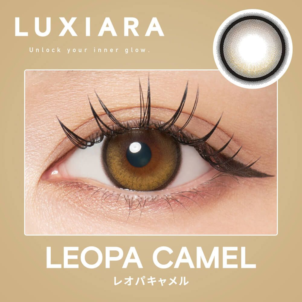 [固定高光] Luxiara 1 Day Leopa Camel｜日拋彩妝隱形眼鏡｜每盒10片