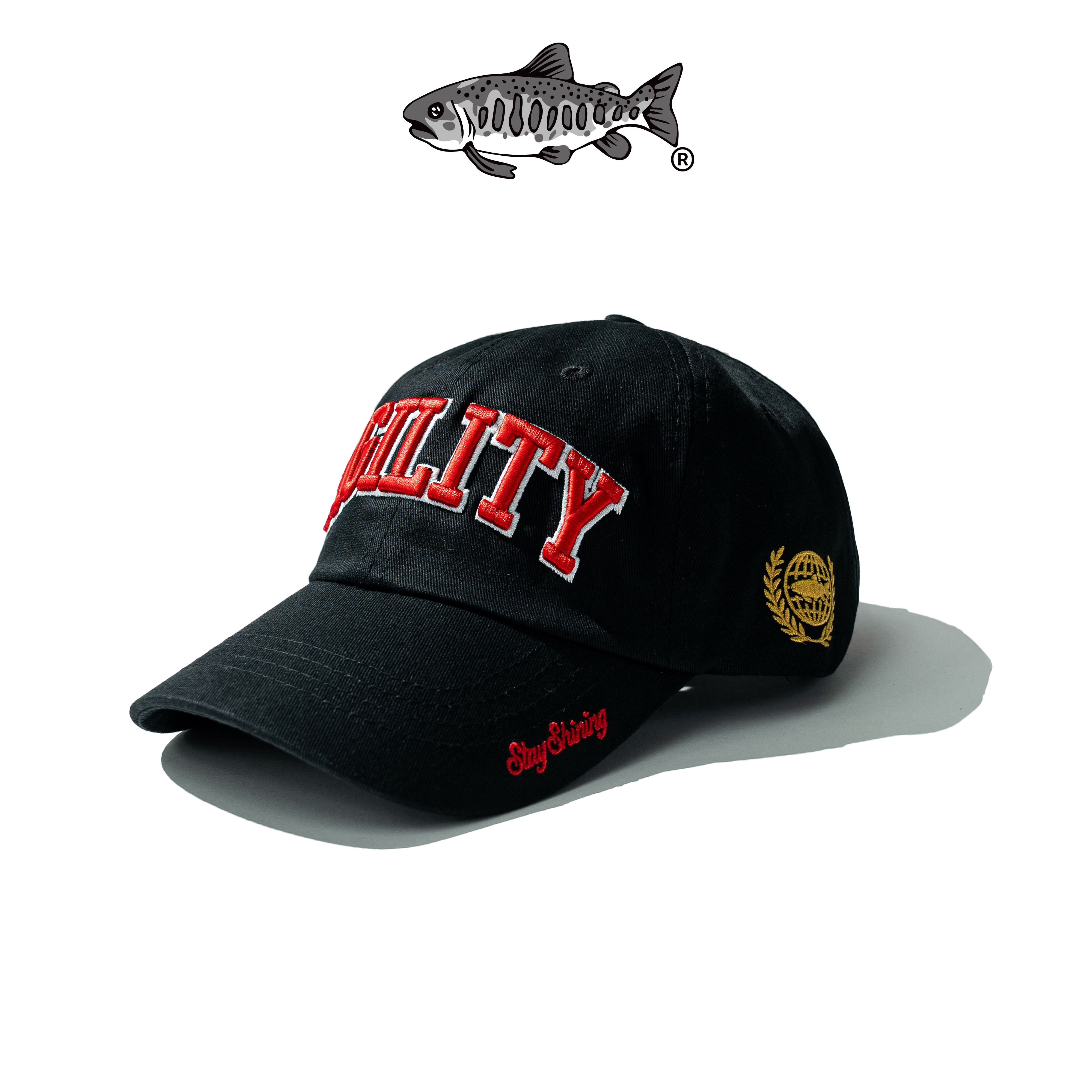 AGILITY Embroidery 6 Panel Cap 俱樂部 棒球帽 [CA6]