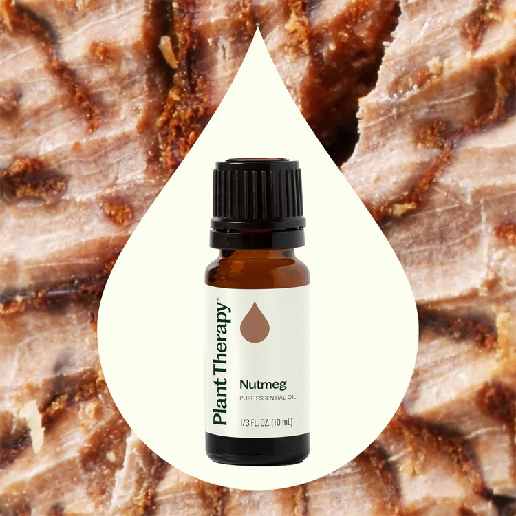 Plant Therapy 肉豆蔻 Nutmeg 精油 - 10ml