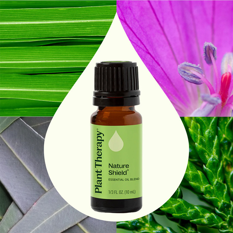 Plant Therapy Nature Shield Synergy Essential Oil-10ml