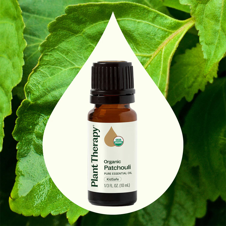 Plant Therapy 有機廣藿香 Patchouli 精油 (兒童安全） - 10ml