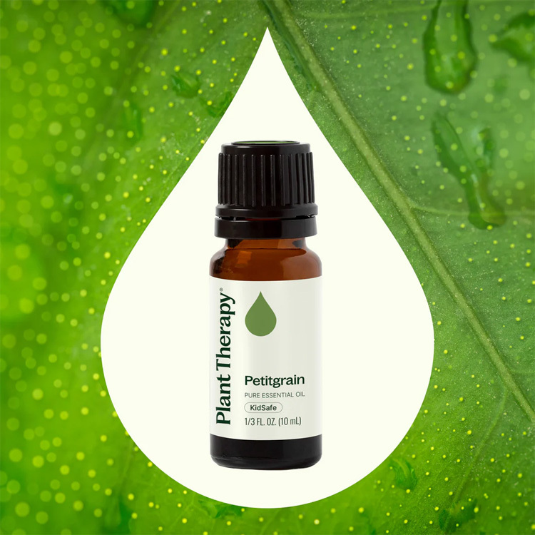 Plant Therapy 苦橙葉 Petitgrain 精油(兒童安全） - 10 ml