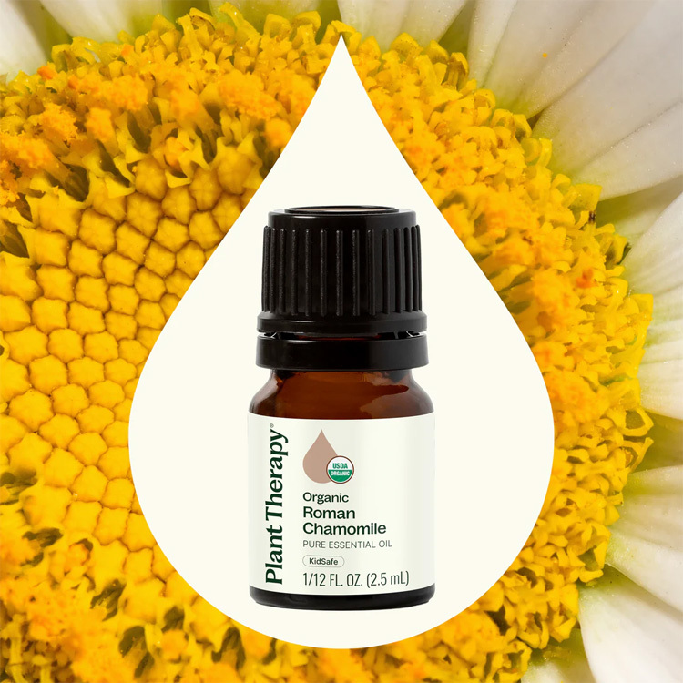 Plant Therapy 有機羅馬甘菊 Roman Chamomile 精油 - 2.5ml