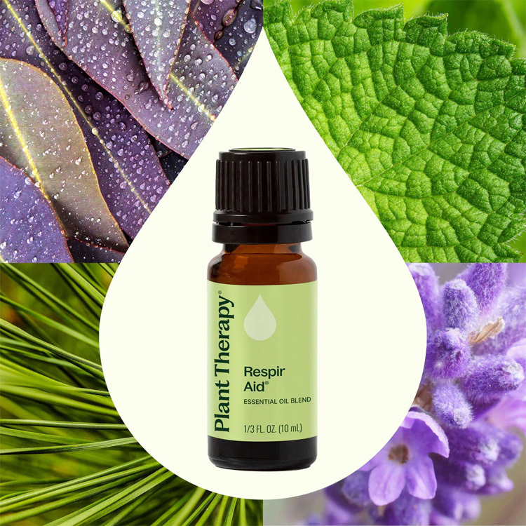美國 Plant Therapy 感冒RA (Respir Aid) 複方精油 - 10ml