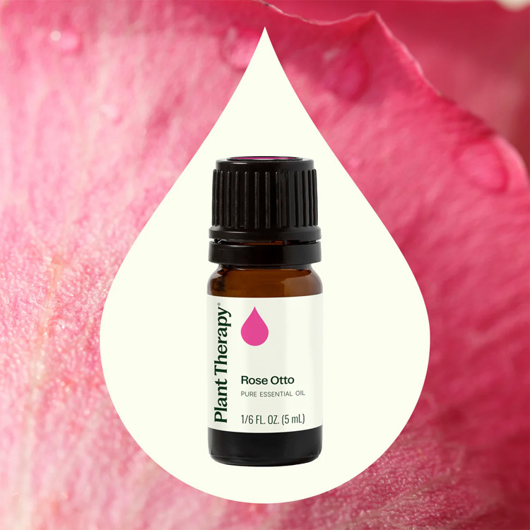 【鎮店之寶】【精油迷必收】Plant Therapy 奧圖玫瑰 Rose Otto 精油 - 5ml