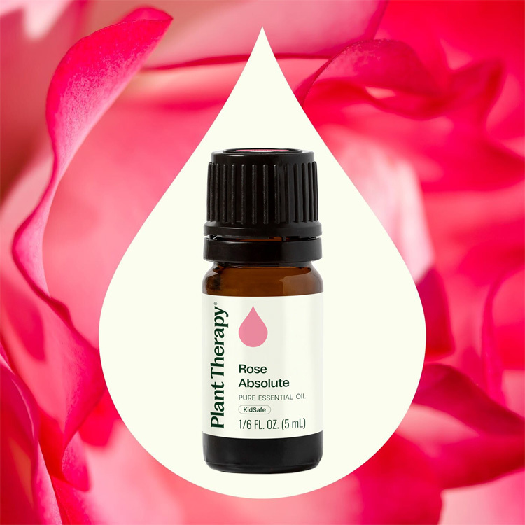 Plant Therapy 玫瑰絕對/玫瑰原精 Rose Absolute 精油 (兒童安全) - 5ml