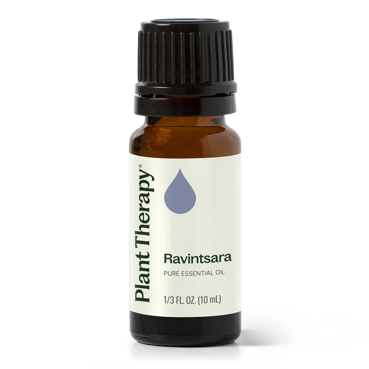 Plant Therapy 羅文沙葉(Ravintsara) 精油- 10ml