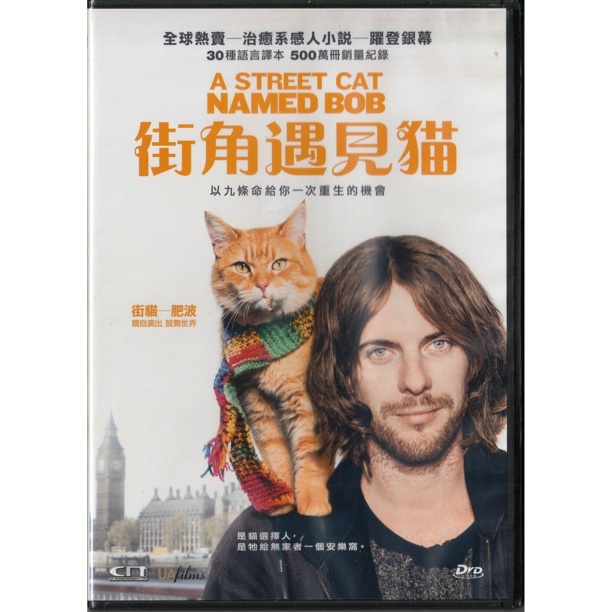 街角遇見貓 (DVD)