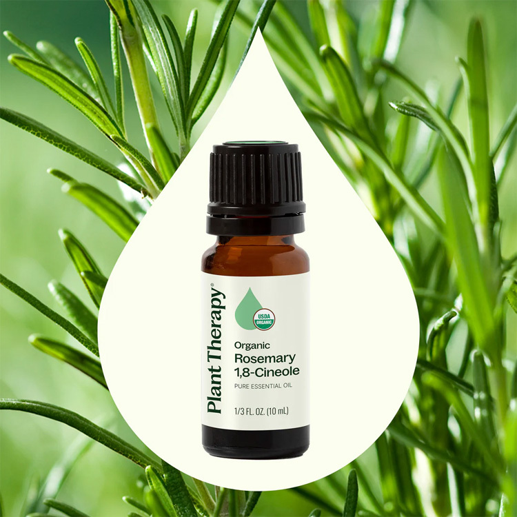 美國 Plant Therapy 有機迷迭香 Rosemay 1,8-Cineole 精油 - 10ml