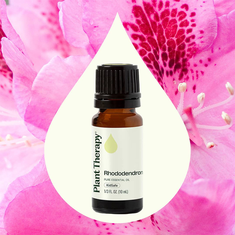 Plant Therapy 杜鵑 Rhododendron 精油 -10ml