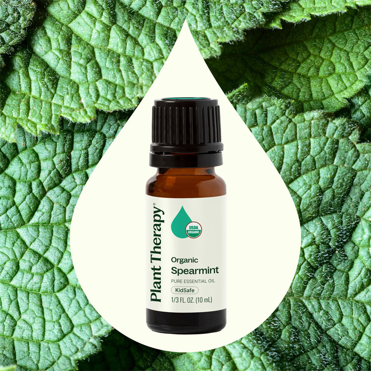 美國 Plant Therapy 有機留蘭香 Spearmint 精油 (兒童安全)- 10ml