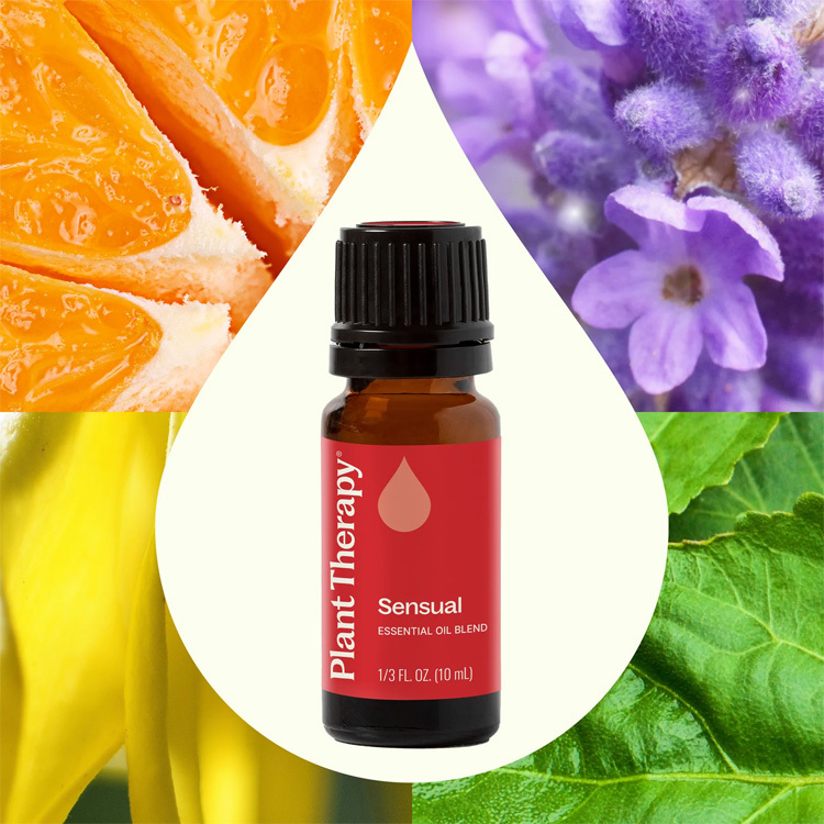 Plant Therapy Sensual Synergy Essential Oil - 10ml