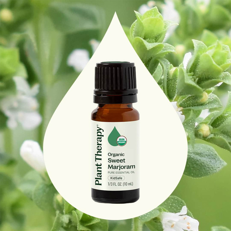 Plant Therapy 有機甜馬鬱蘭 (Sweet Marjoram )精油 (兒童安全) -10ml