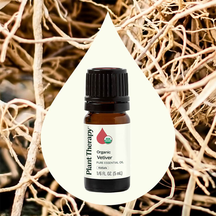 美國 Plant Therapy 岩蘭草 Vetiver 有機精油（兒童安全）- 5ml