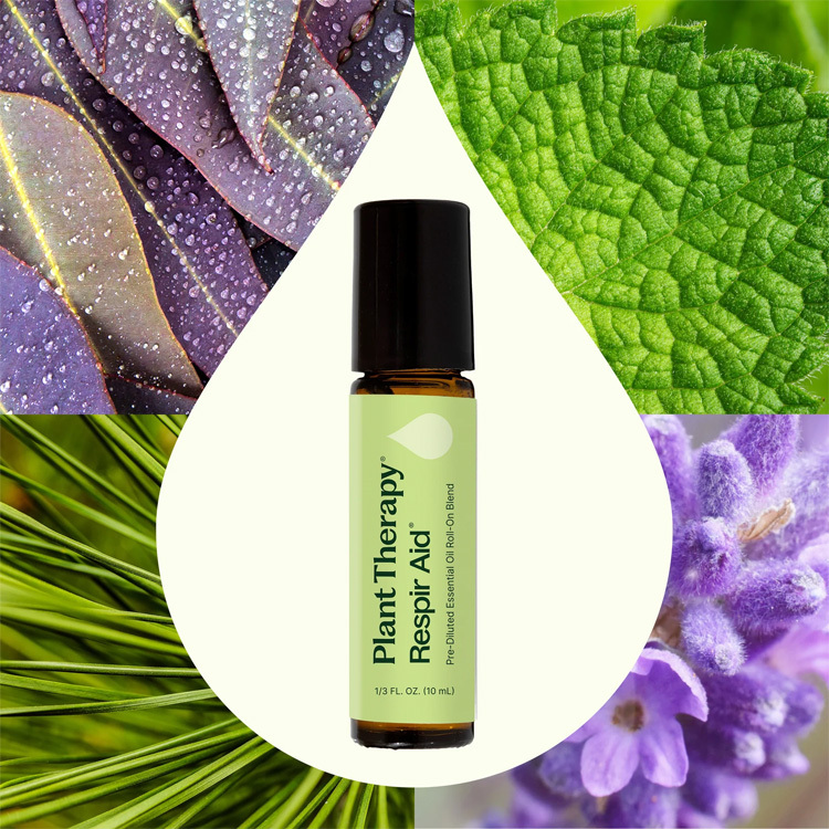 美國 Plant Therapy 感冒RA (Respir Aid) 複方精油滾珠裝 - 10ml