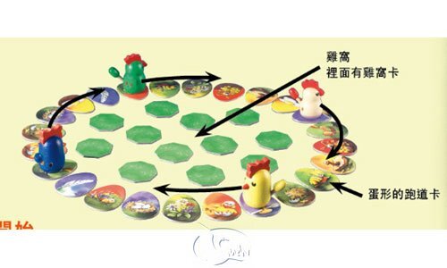 【新天鵝堡桌遊】拔毛運動會 Zicke Zacke