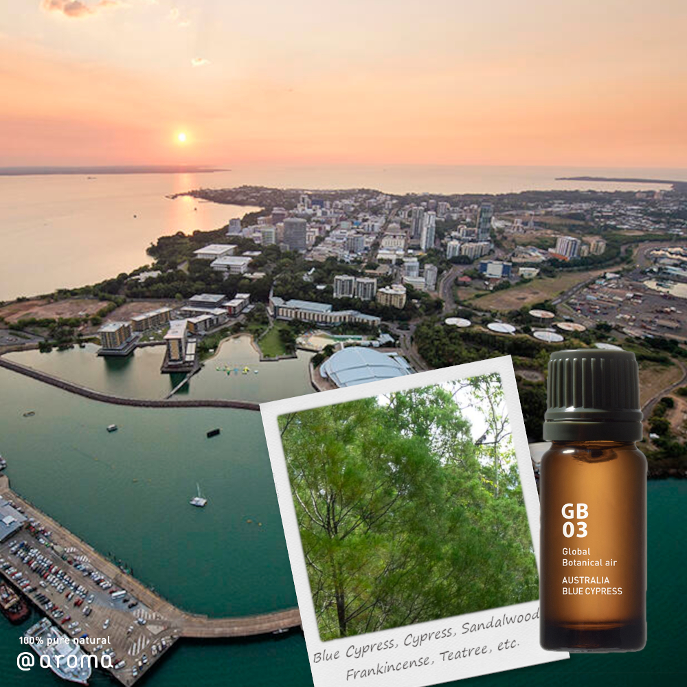 AT AROMA - GLOBAL Botanical Air GB03 Australia Blue Cypress Essential Oil | 10ml