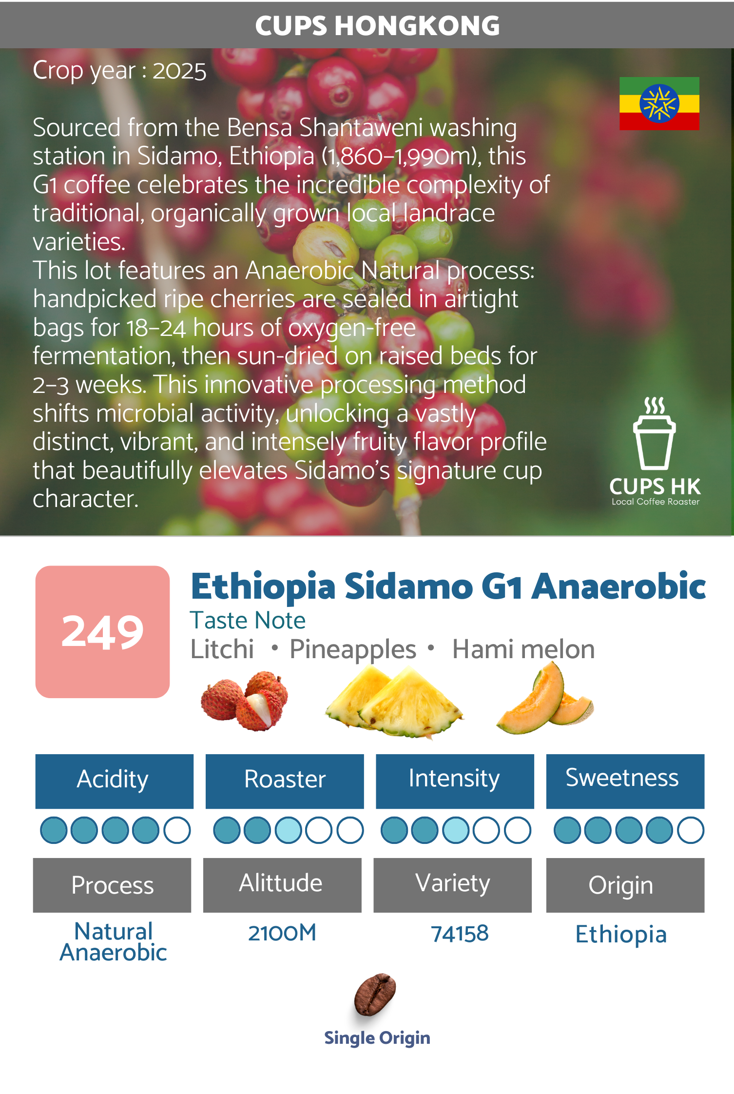 249 Ethiopia Sidamo G1 Anaerobic ｜衣索比亞西達摩 G1 日曬厭氧