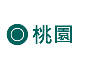 USTINI 我挺你健康鞋 桃園