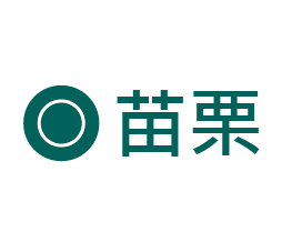 USTINI 我挺你健康鞋 苗栗