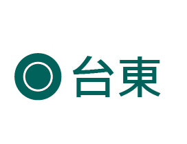 USTINI 我挺你健康鞋 台東
