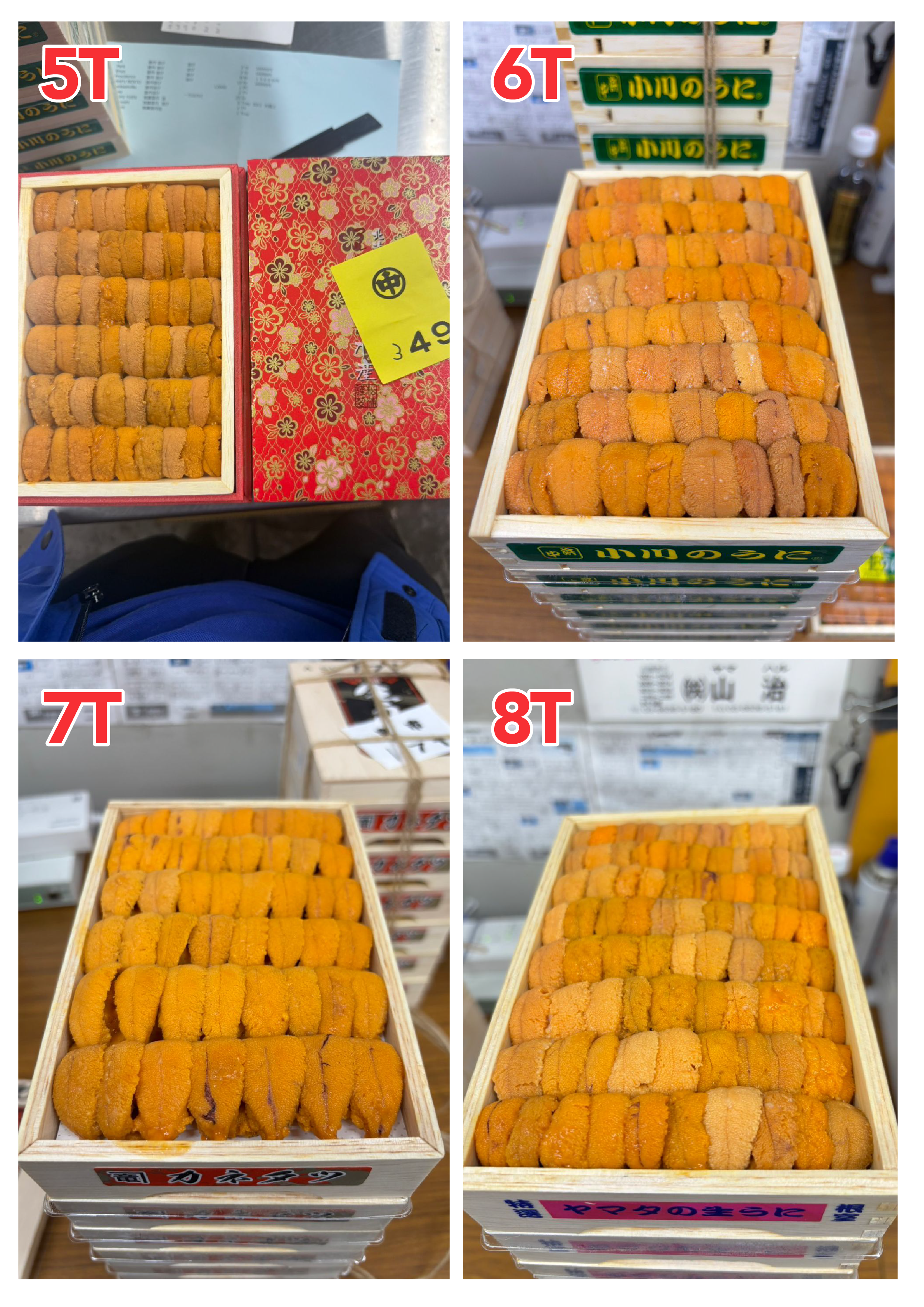 【指定海膽推薦】每天更新 (限即日落單, 翌日送)