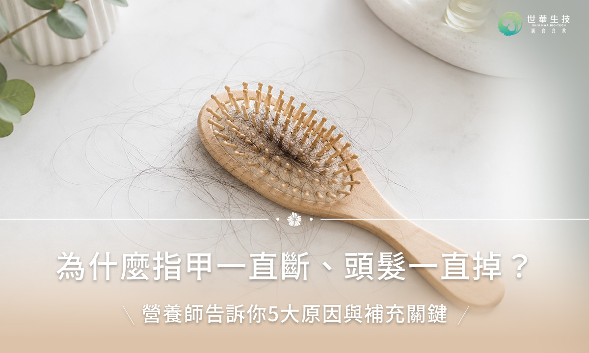 為什麼指甲一直斷、頭髮一直掉?營養師揭5大原因與補充關鍵