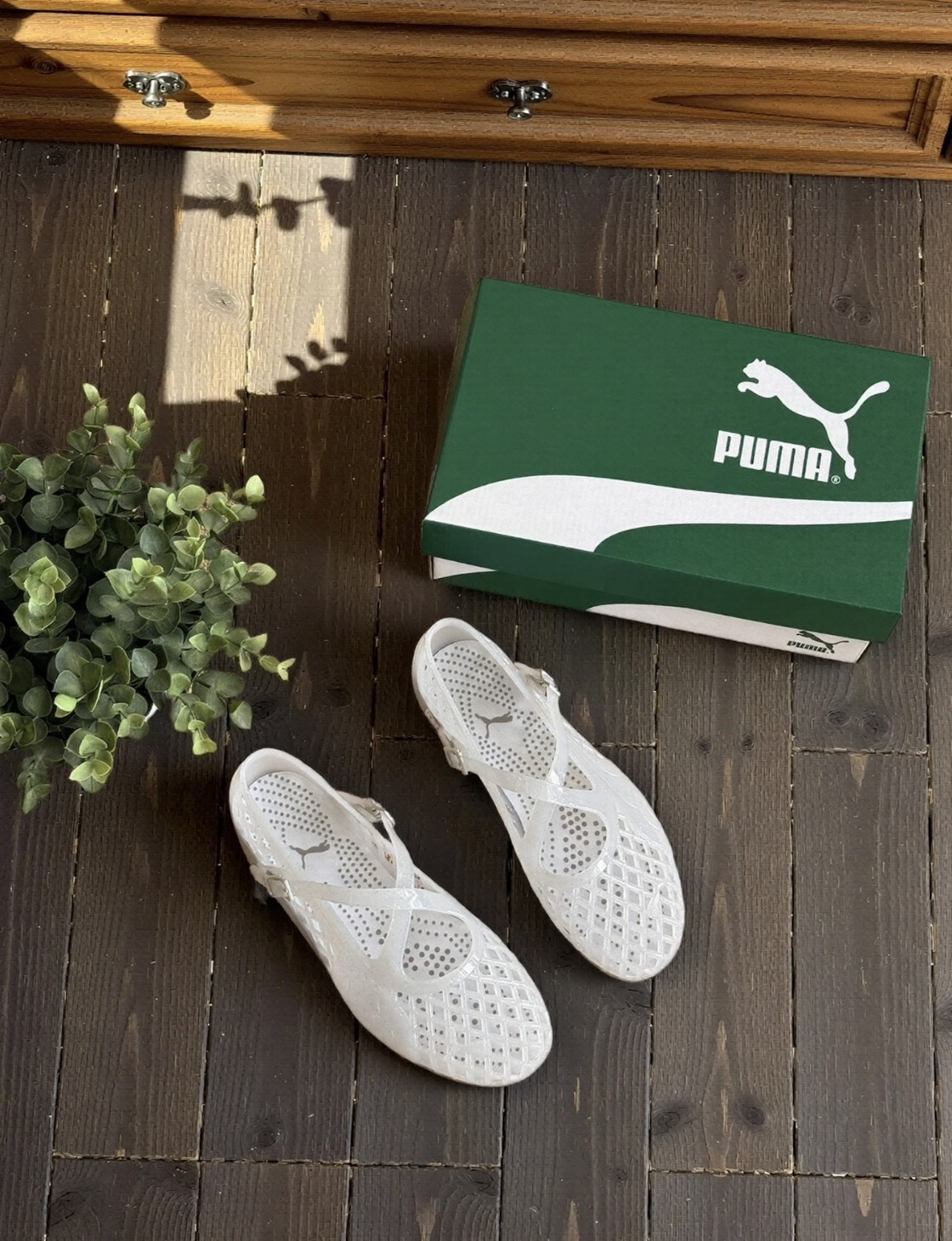 <夏日消暑就要果凍鞋🪼>PUMA Speedcat Ballet Jelly Wns 果凍鞋 水晶鞋