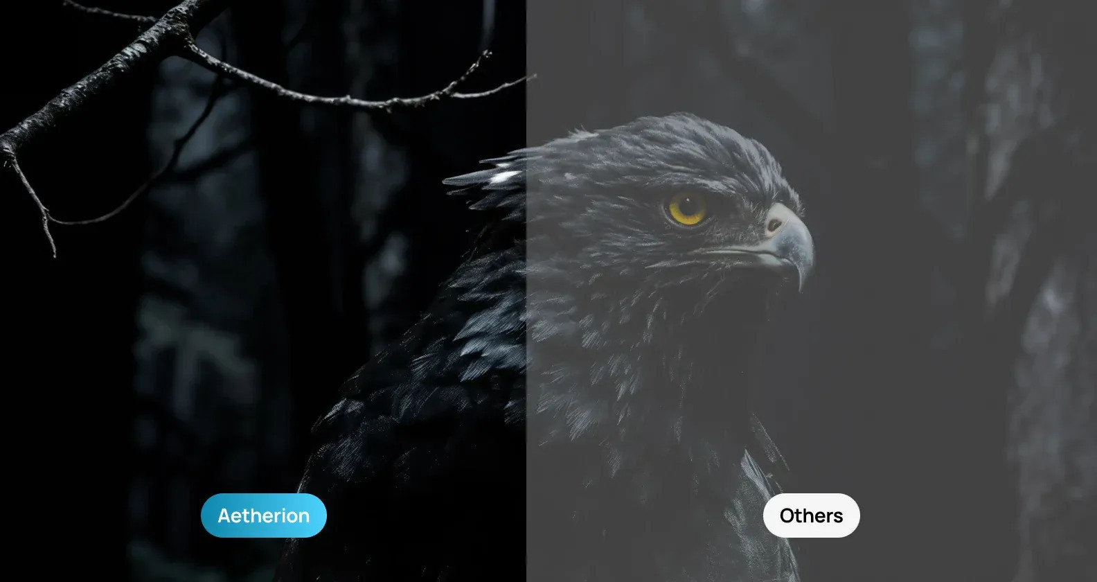 Clearer Dark Scenes by Noirscene™ System II