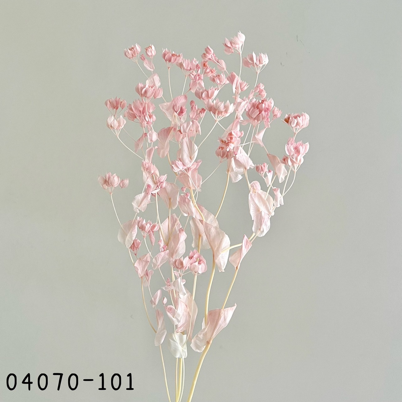 日本不凋金翠花04070-101