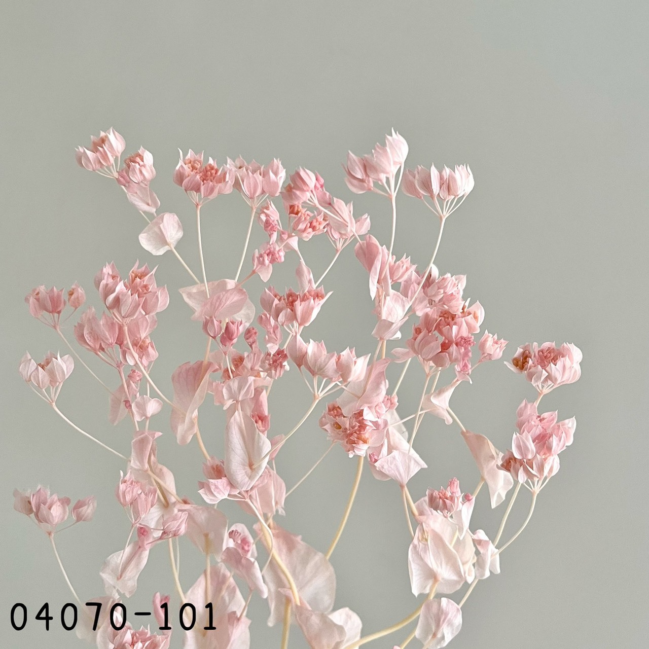 日本不凋金翠花04070-101