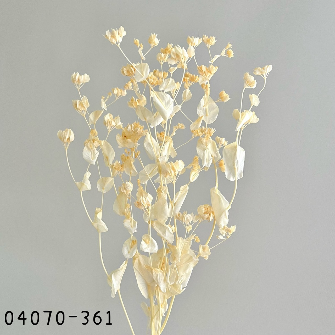 日本不凋金翠花04070-361