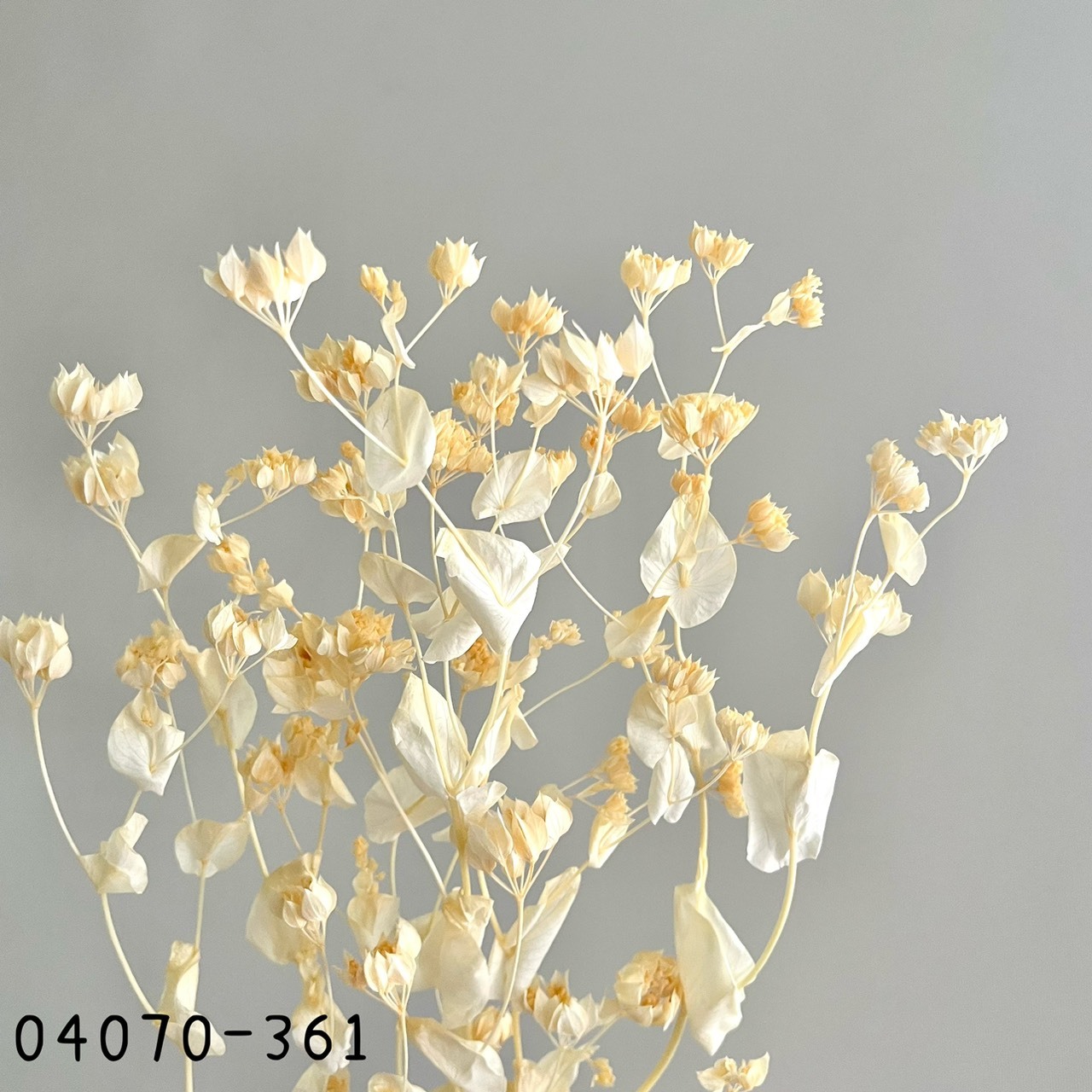 日本不凋金翠花04070-361