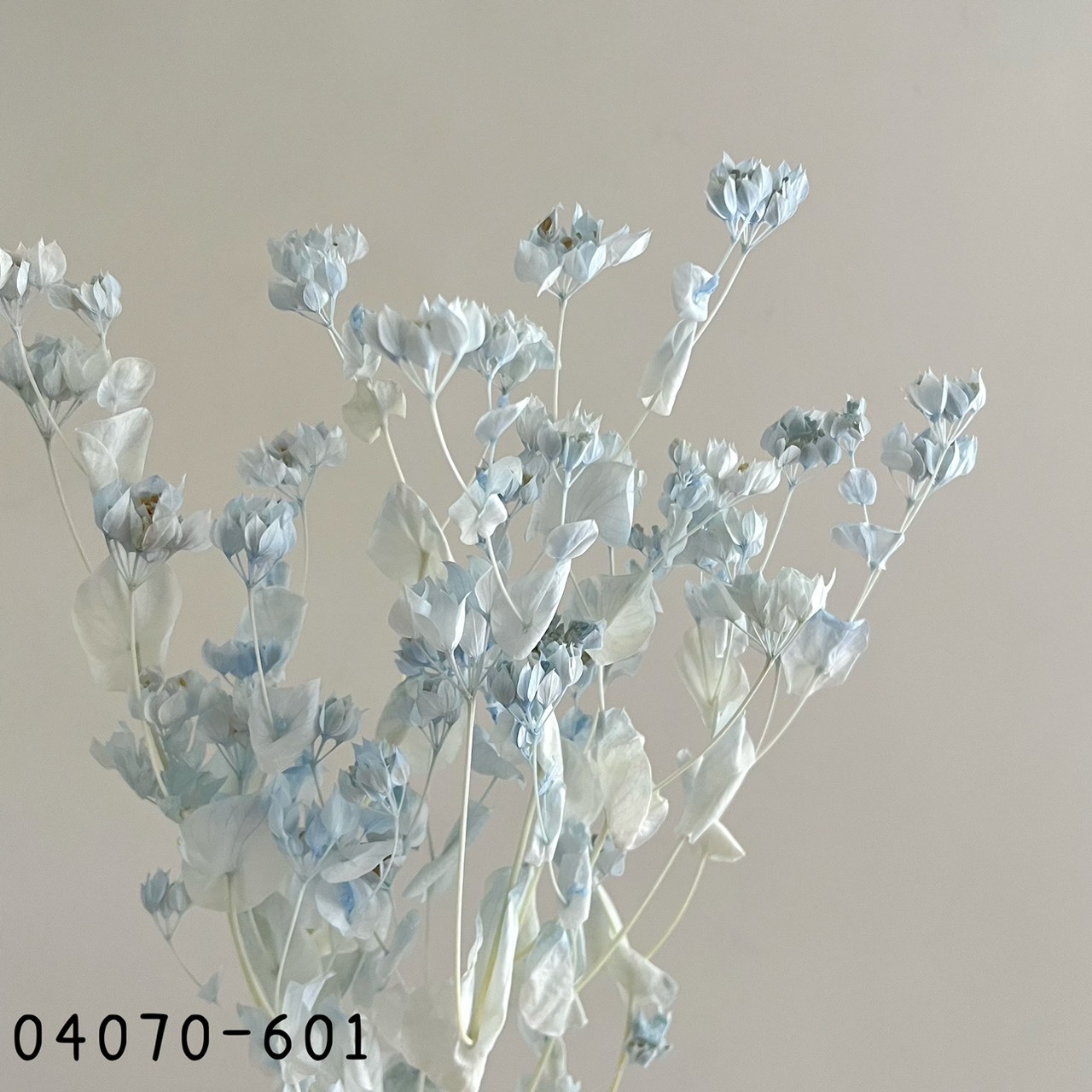 日本不凋金翠花04070-601