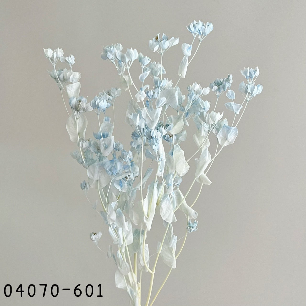 日本不凋金翠花04070-601