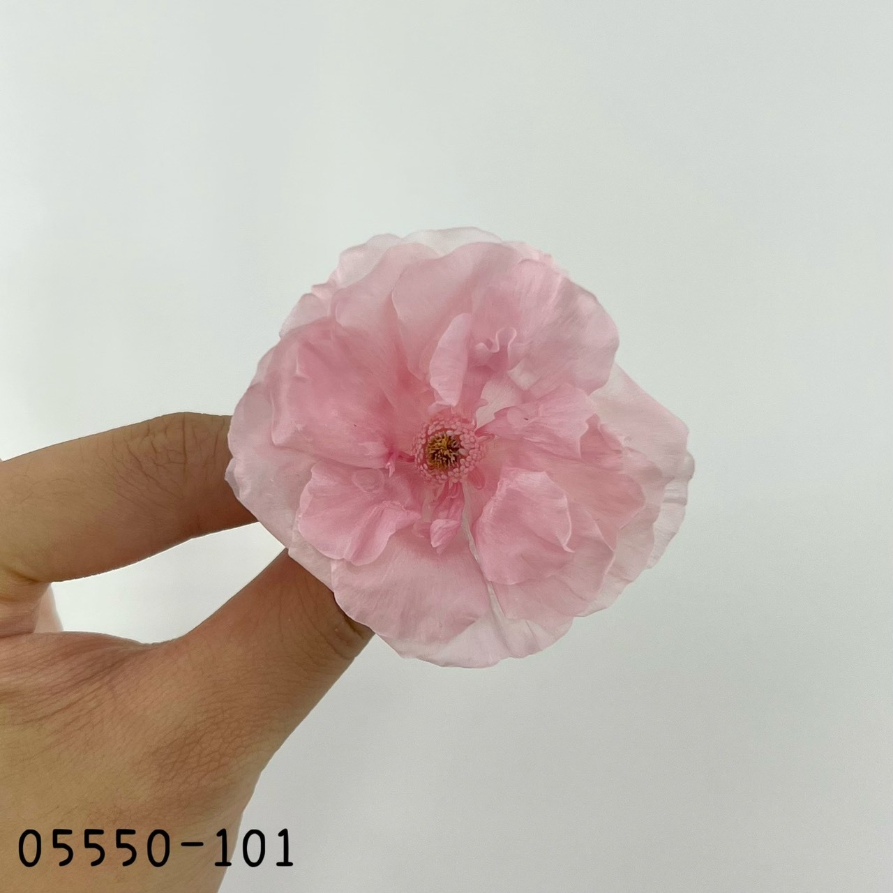 日本不凋蝴蝶陸蓮05550-101