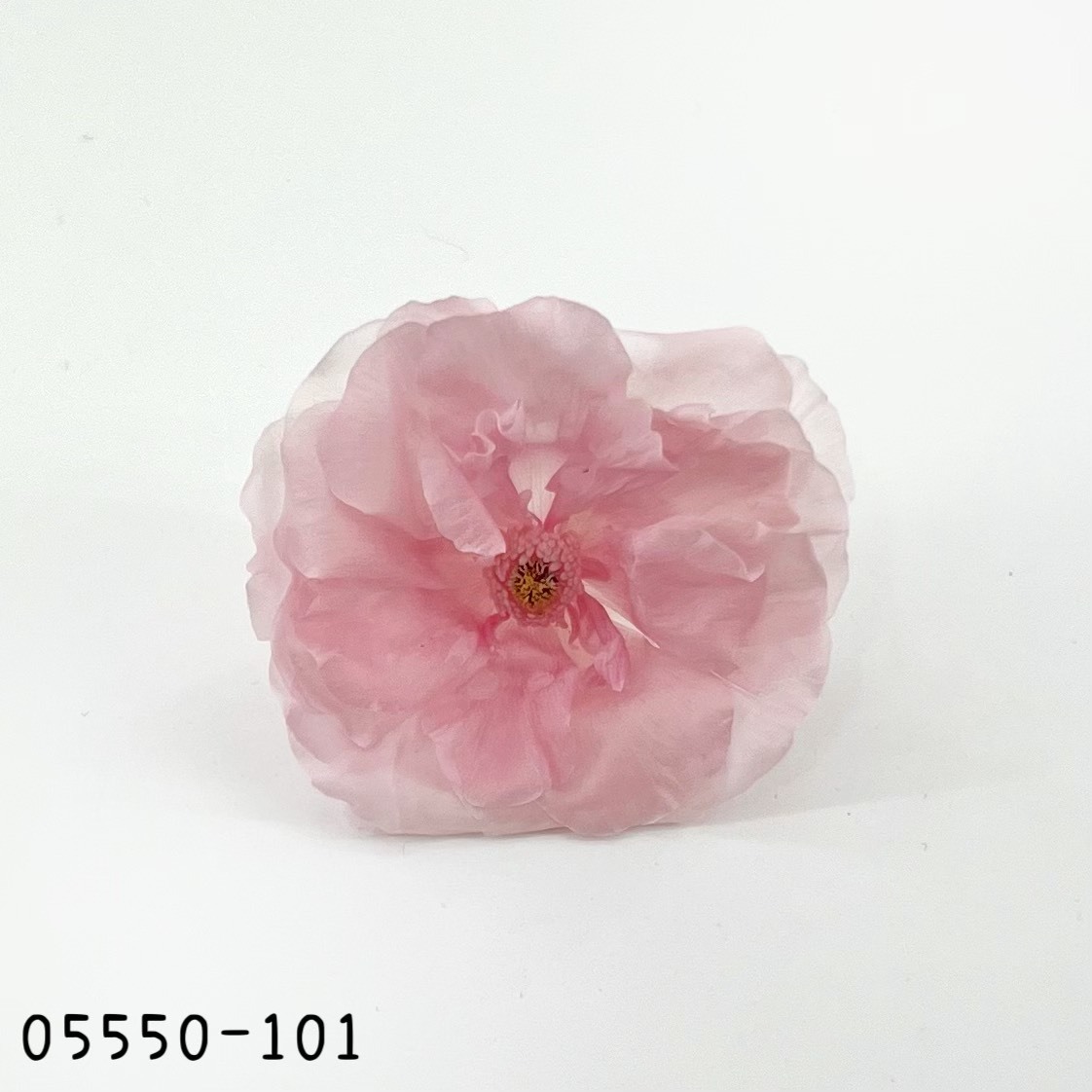 日本不凋蝴蝶陸蓮05550-101